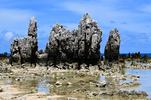 Coral limestone pinnacles on Nauru's reef at low tide